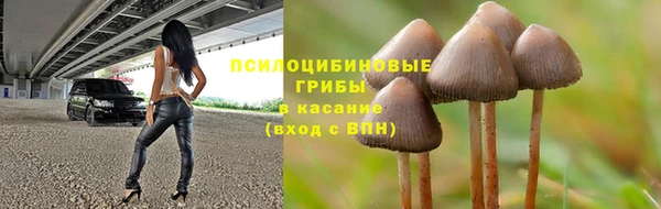 прущий лед Абаза