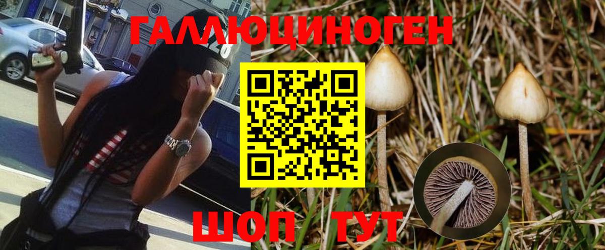 Орск  Псилоцибиновые грибы мухоморы  Вход с VPN 